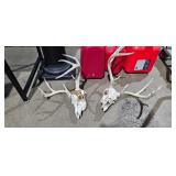 SKULL LOT