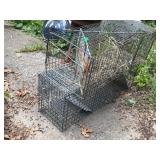 ANIMAL TRAPS