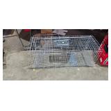 ANIMAL TRAP