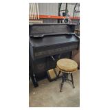 ORGAN AND STOOL
