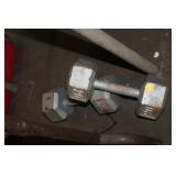 PAIR OF 20LB DUMBBELLS