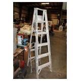 ALUMINUM LADDER & WALKER