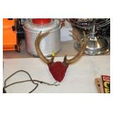 DEER ANTLERS