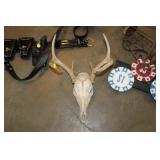 DEER SKULL