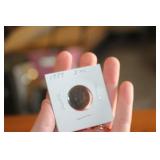 1889 INDIAN HEAD CENT