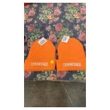 2 Tennessee toboggans