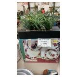 BOX OF CHRISTMAS DISHES, PLANT DECOR