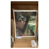 Box of Runaway prints