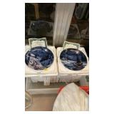 2 Collector plates & COAS