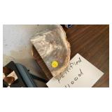 PETRIFIED WOOD