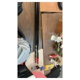 2 Pole extensions