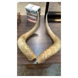 Horns
