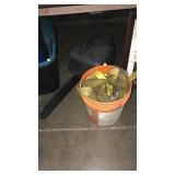 Bucket of racket straps and chainsaw case