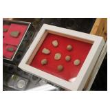 Display of Civil War Bullets