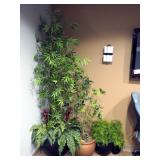 Artificial Plant Assortment, Including 6' Bamboo, Green Leafy Plant, Springerari, And More