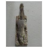 Taxidermied Squirrel
