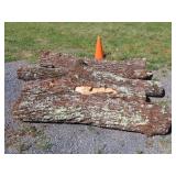 Four Walnut Logs