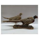 Pair of Pheasants Male and Female