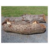 Three Walnut Logs