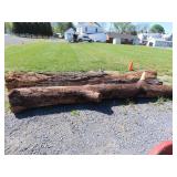 Two Large Walnut Logs
