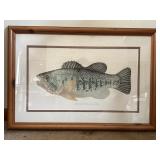 48/200 Largemouth Bass Larry Crawford