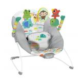 Bright Starts Baby Bouncer