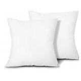Two Pillow Inserts