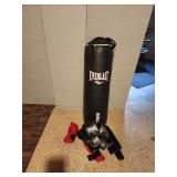 Everlast Punching Bag Set