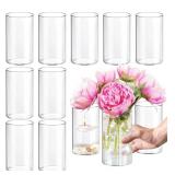 12Pcs Clear Glass Vases