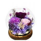 Forever Rose in Glass Dome