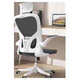Ergonomic Office Chair