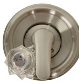 Delta Brushed Nickel Trim Kit