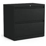 Black Lockable 2-Drawer File