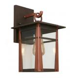 Allen + Roth Outdoor Wall Light
