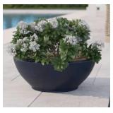 Allen + Roth Matte Black Bowl