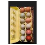 Rainbow hatching eggs, several breeds