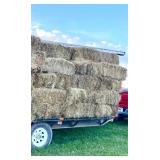 10-Square bales of grass hay