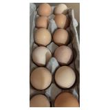 Pure Brahma & sexlink/ Brahma cross Hatching eggs