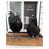 Ayam Cemani Rooster & Hen Pair
