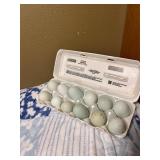 1 dozen Easter Egger Hatching Eggs