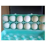 One dozen easter eggers hatching eggs
