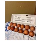 1 Dozen Maran Hatching Eggs