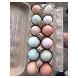 1-dozen barnyard mix hatching eggs.