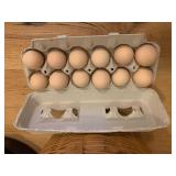 1 dozen Ayam Cemani hatching eggs.