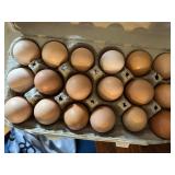 1-Doz Barnyard Mix Hatching Eggs