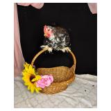 6 month old calico bantam Cochin pullet