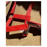 Small pony or foal halter brand new