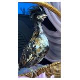 Tolbundt polish pullet 6 weeks old