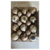 1-doz Coturnix Quail hatching eggs