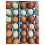 1- Doz Barn yard mix Hatching eggs